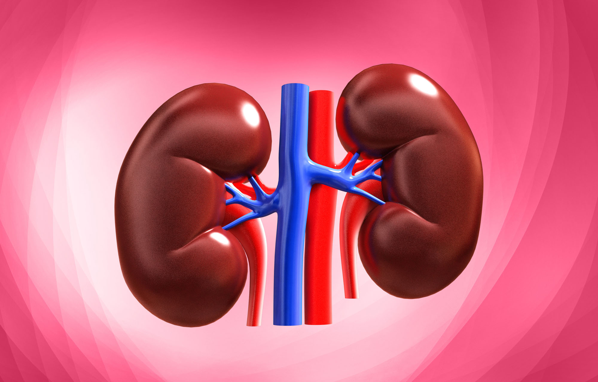 Get Great Kidney Health With These Steps | Ayushman Hospital and Health  Services