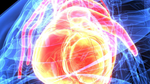 Interventional Cardiology, Coronary Angioplasty, Stenting, Atherectomy, Laser Angioplasty, Rotational Atherectomy, Balloon Valvuloplasty, Transcatheter Aortic Valve Replacement, TAVR, Patent Foramen Ovale Closure, PFO Closure